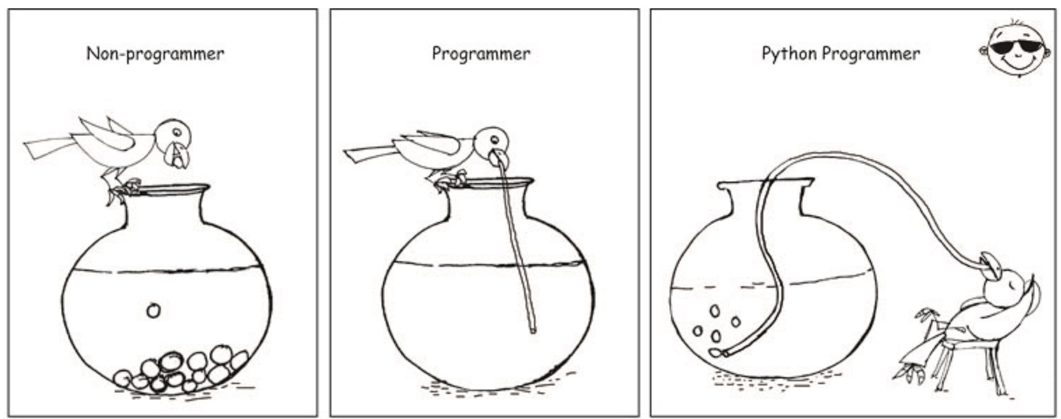 python programmer