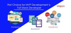 Full Stack Developer for MVP development